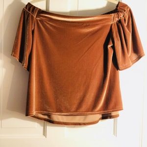 Sun & Shadow Off the Shoulder Velvet Top